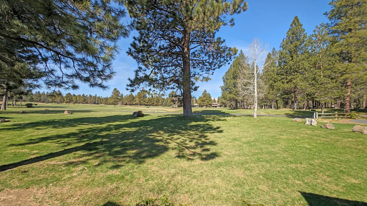 A spacious green lawn stretches out beneath a large pine tree, dotted with boulders and bordered by a distant tree line. The area feels open and inviting, perfect for outdoor activities and nature observation.